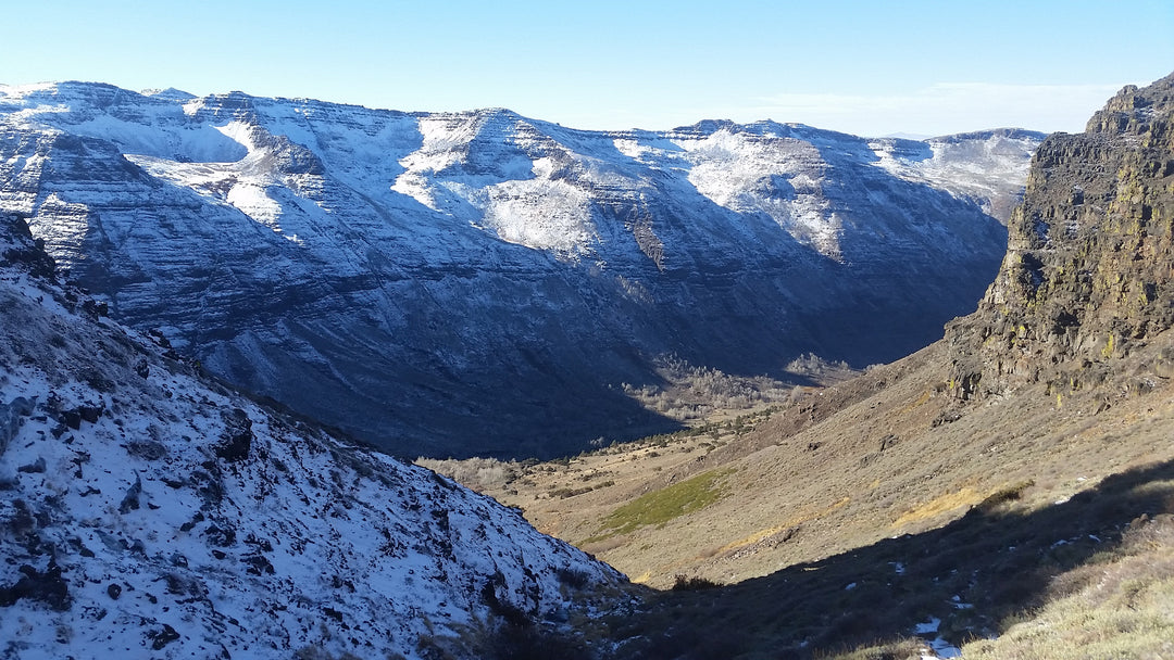 So You Want to Hike the ODT?