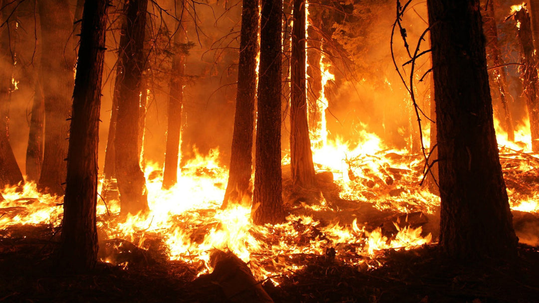 Staying Fire Safe in the Backcountry