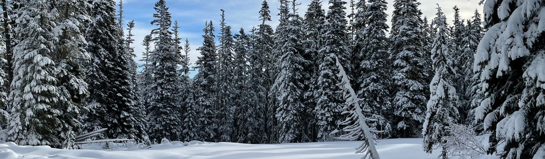 How to Upgrade 3 Season Gear to 4 Seasons for Winter Camping on a Budget