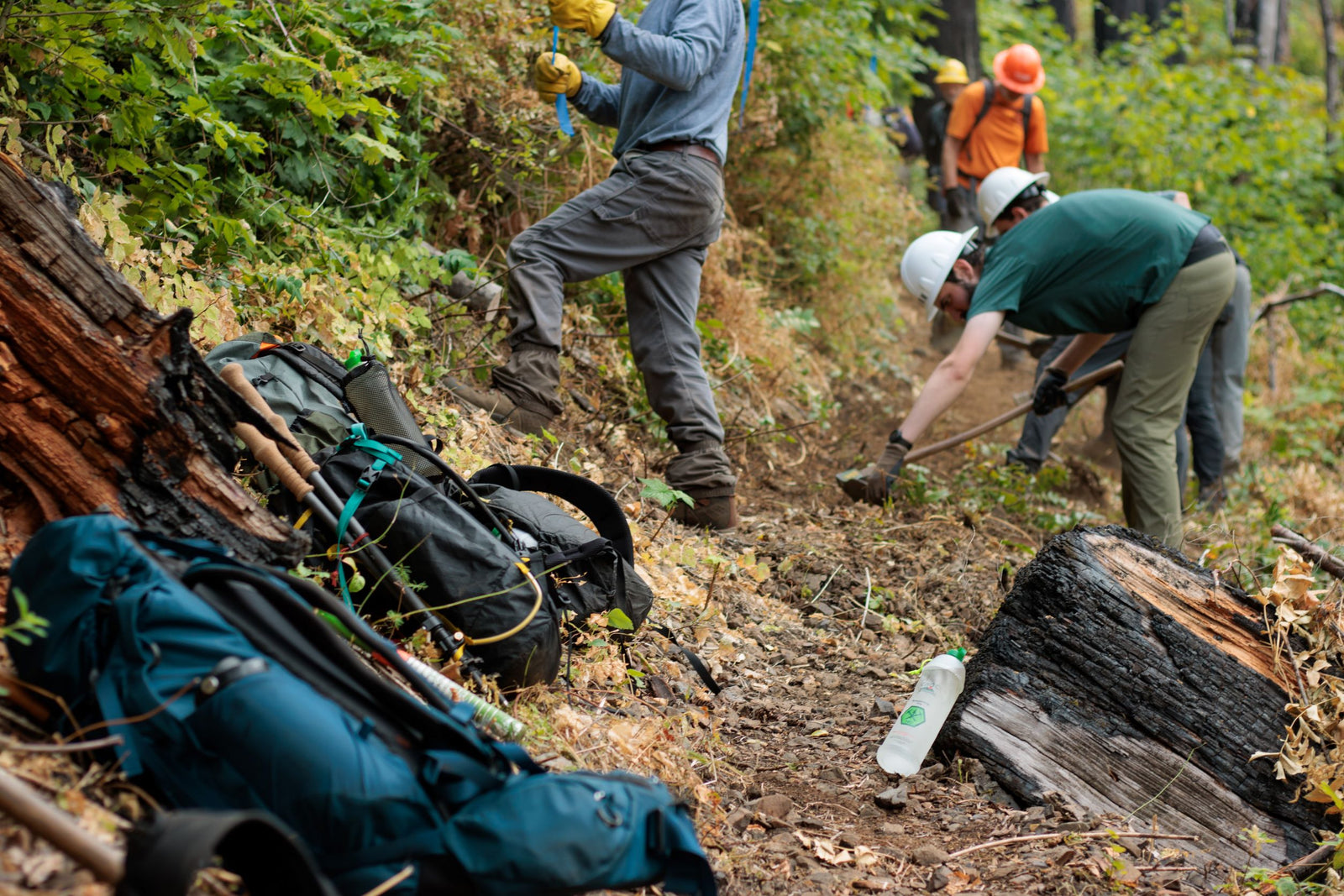 Volunteer for a Vesica This October