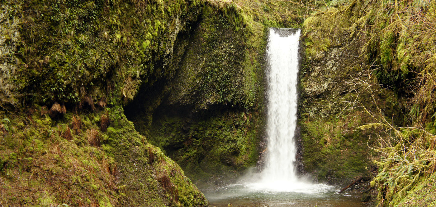 Waterfall chasing trip in the Columbia River Gorge