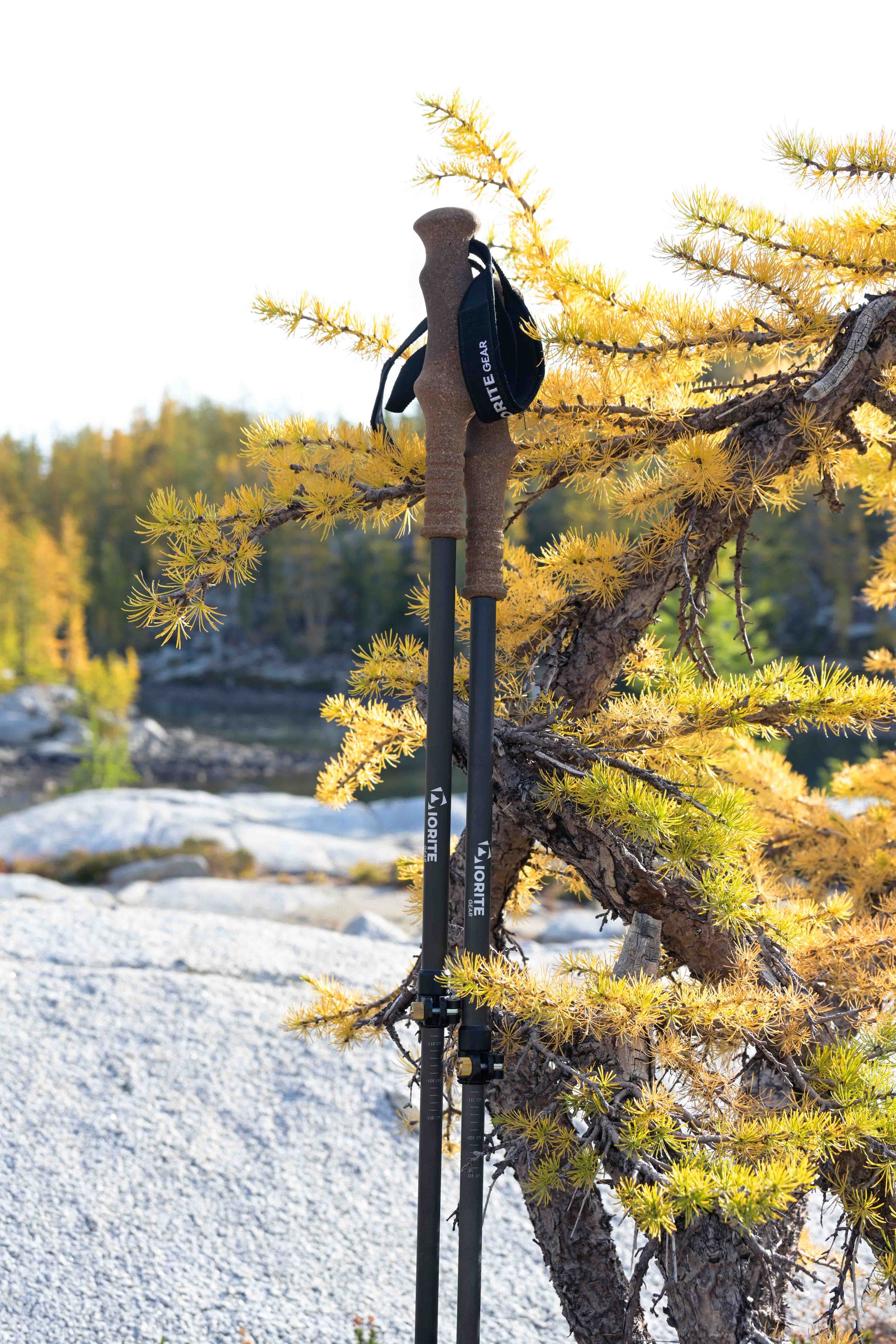 Trekking Poles