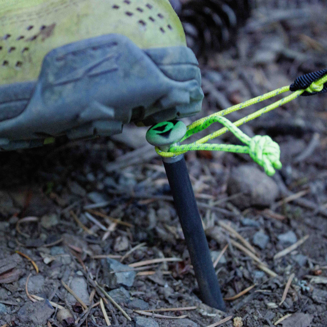 Représentation visuelle de Stake Casino